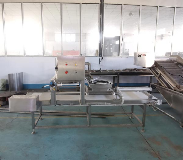 輸送帶式魚豆腐切塊機(jī)